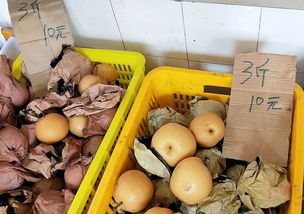 今日南充市水果市场的零售价格看看